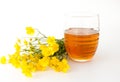 Flower Blossom Honey in a Glass. Royalty Free Stock Photo