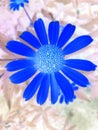 Flower blue nature effects green