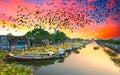 Flower boats full of flowers parked along canal wharf in sunset Royalty Free Stock Photo