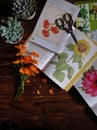 Flower, books, succulent and Scissor in flatlay style