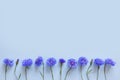 Flower border of blue flowers on pastel blue background. Top view, copy space. Empty space for text or beauty product Royalty Free Stock Photo