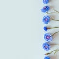 Flower border of blue flowers on a pastel blue background. Top view, copy space. Empty space for a text or beauty product. Royalty Free Stock Photo