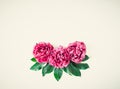 Flower border composition made of bright pink buds peony bouquet on a white wooden background. Floral texture mockup. Flat lay, Royalty Free Stock Photo