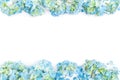 Flower border frame of blue hydrangea flowers on white background. Flat lay, top view. Floral background Royalty Free Stock Photo