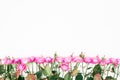 Flower border pattern of pink roses, branches and leaves on white background. Flat lay, Top view. Royalty Free Stock Photo