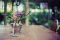 Flower in bottle jar and little tree in flowerpot and they are on the the wood table in coffee shop. Royalty Free Stock Photo