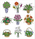 Flower bouqets in vases. Vector illustration Royalty Free Stock Photo