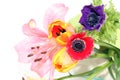 Flower bouquet Royalty Free Stock Photo