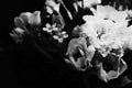 Flower bouquet as beautiful floral arrangement, creative flowers and floristic design, classic black and white