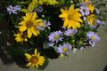 Flower bouquet of beautiful wild Ukrainian wildflowers made with a soul from the steppe part of Ukraine Royalty Free Stock Photo