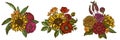 Flower bouquet of colored poppy flower, gerbera, sunflower, milkweed, dahlia, veronica