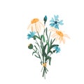 Flower bouquet with cornflower and chamomile vector illustration isolated on white background in modern simple style