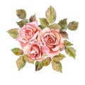 Flower Bouquet floral bunch, boho design object, element. Peach, creamy pale pink Rose flowers