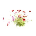 Flower Bouquet. Realistic 3D Render. Isolated On White Background