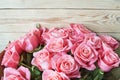 Flower bouquet rose, pink roses bouquet, blooming roses. Rose flowers bunch art design, nature. Holiday gift, Bunch of roses Royalty Free Stock Photo