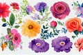 Flower bouquet set watercolor pieces of artwork design