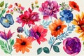Flower bouquet set watercolor pieces of artwork design