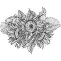 Flower bouquet with sunflowers and poppies line art Royalty Free Stock Photo