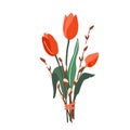 Flower bouquet with tulip and willow twigs vector illustration isolated on white background in modern simple style Royalty Free Stock Photo