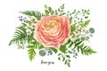 Flower Bouquet vector watercolor element. Peach, pink rose Ranunculus, wax flowers eucalyptus, green fern leaf, berry mix. Royalty Free Stock Photo