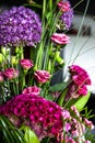 Flower bouquet in vibrant colors, beautiful arrangement with allium, celosia or cockscomb, lisianthus