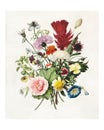 Flower bouquet vintage illustration. Digitally enhanced by rawpixel