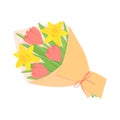 Flower bouquet with yellow daffodil and pink tulip isolated on white background. Vector spring illustration for greeting cards Royalty Free Stock Photo