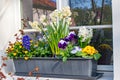 Flower box with various flowers Royalty Free Stock Photo