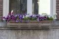 Flower Box At A Window At Amsterdam The Netherlands 23-6-2022