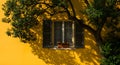 Flower box window on yellow wall with green leafy tree in vibrant sunlight Royalty Free Stock Photo