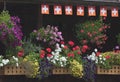 Flower boxes on Swiss balcony Royalty Free Stock Photo