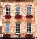 Flower Boxes in Windows