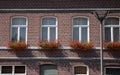 Flower boxes on windows