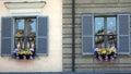 Flower Boxes in Windows, Rome