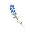 Flower branch, stem. Blooming floral plant, gentle delicate bellflowers buds on twig with leaf. Abstract herb