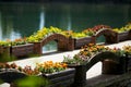 Flower bridge