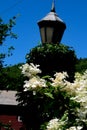 Light on Flower Bridge decoated with White Flowers