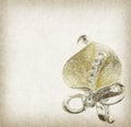 Flower brooches Royalty Free Stock Photo