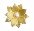 Flower brooches Royalty Free Stock Photo