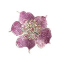 Flower brooches Royalty Free Stock Photo