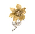 Flower brooches Royalty Free Stock Photo