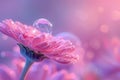 a flower with bubbles floating on it, photorealistic image of a single bubble hovering over a dew-covered flower Royalty Free Stock Photo