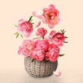 Flower buds flying into wicker basket with pink peonies on beige background. Beautiful bouquet