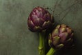 Flower buds of globe artichokes.