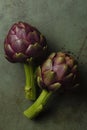 Flower buds of globe artichokes. Mediterranean edible plant,