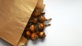 Flower Bulbs in brown paper bag Royalty Free Stock Photo