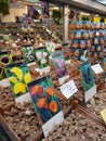 Flower bulbs for sale in Amsterdam