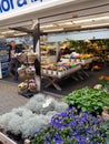 Flower bulbs for sale in Amsterdam