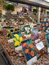 Flower bulbs for sale in Amsterdam