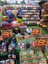 Flower bulbs for sale in Amsterdam